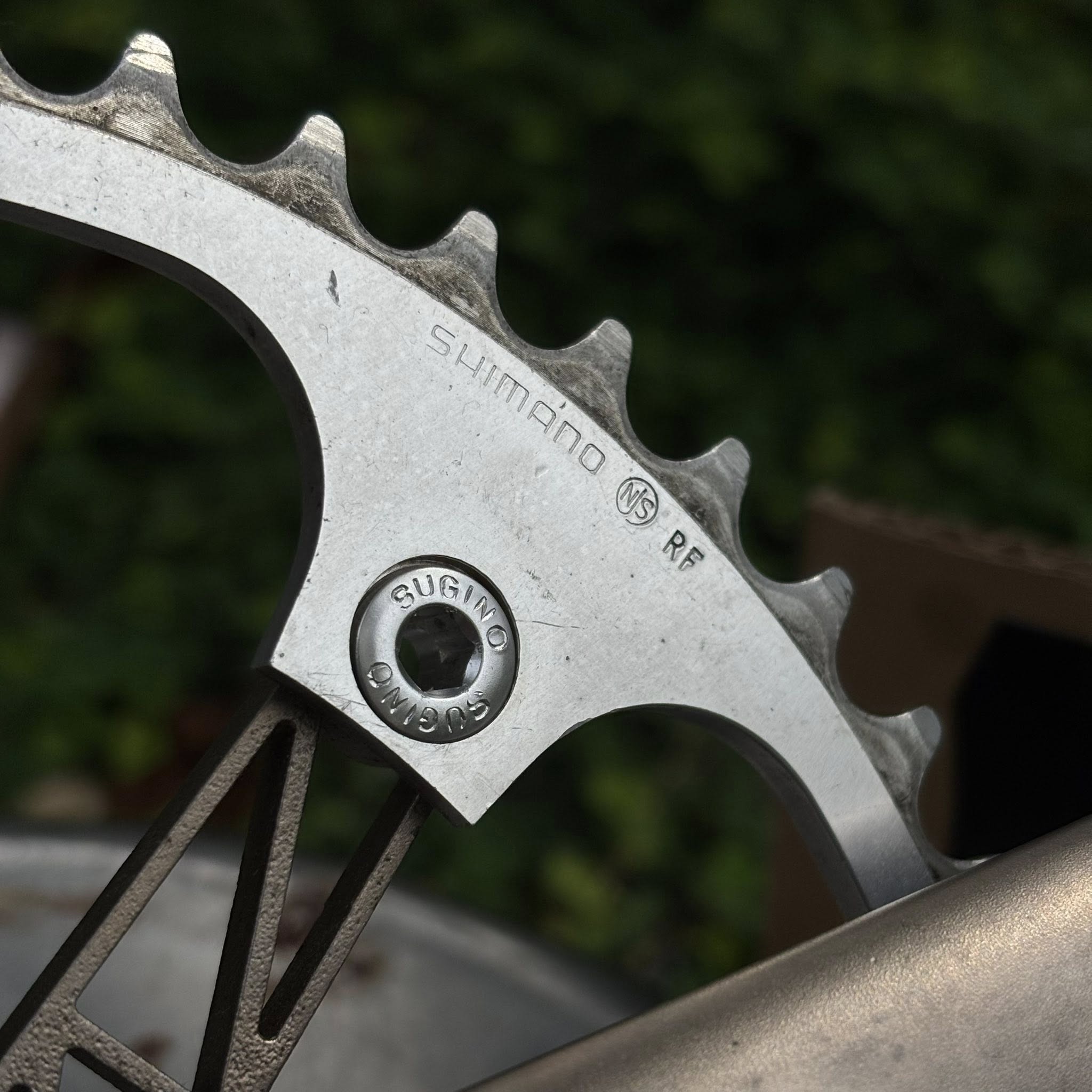 Prototype Sweet Wings - Image 5